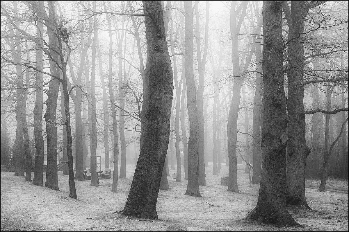 Diesig BW (1 von 1).jpg