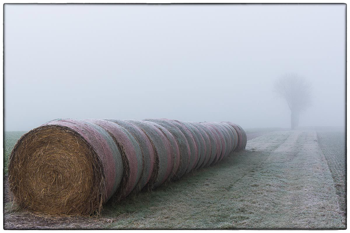 Diesiger Weg (1 von 1).JPG
