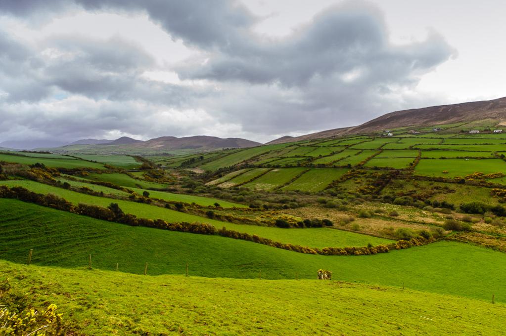Dingle 1