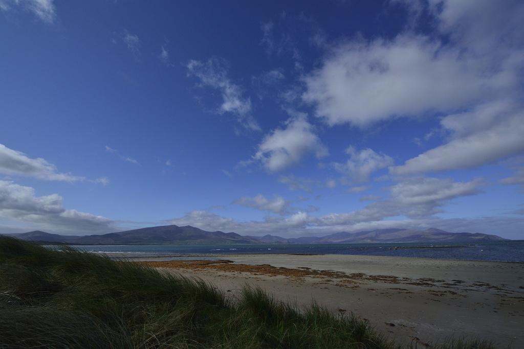 Dingle