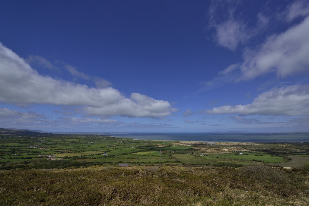 Dingle