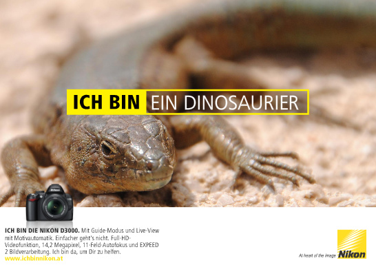 Dino