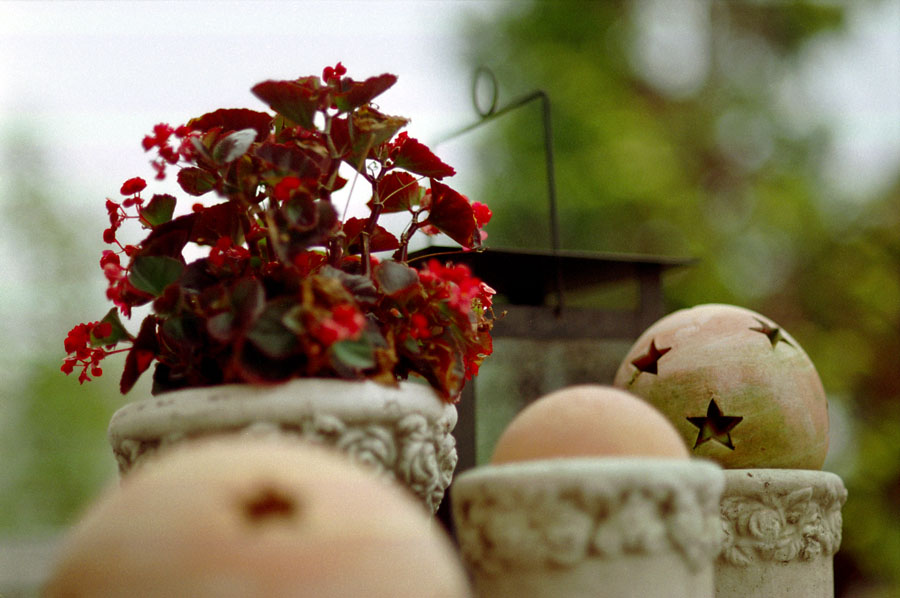 DOF 1
