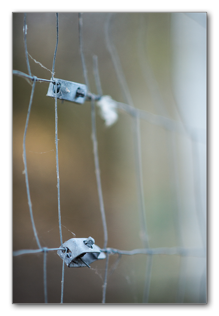 dof