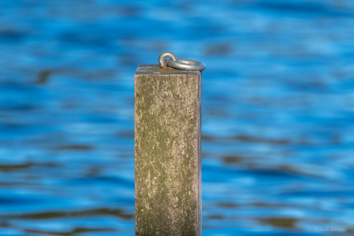 DOF