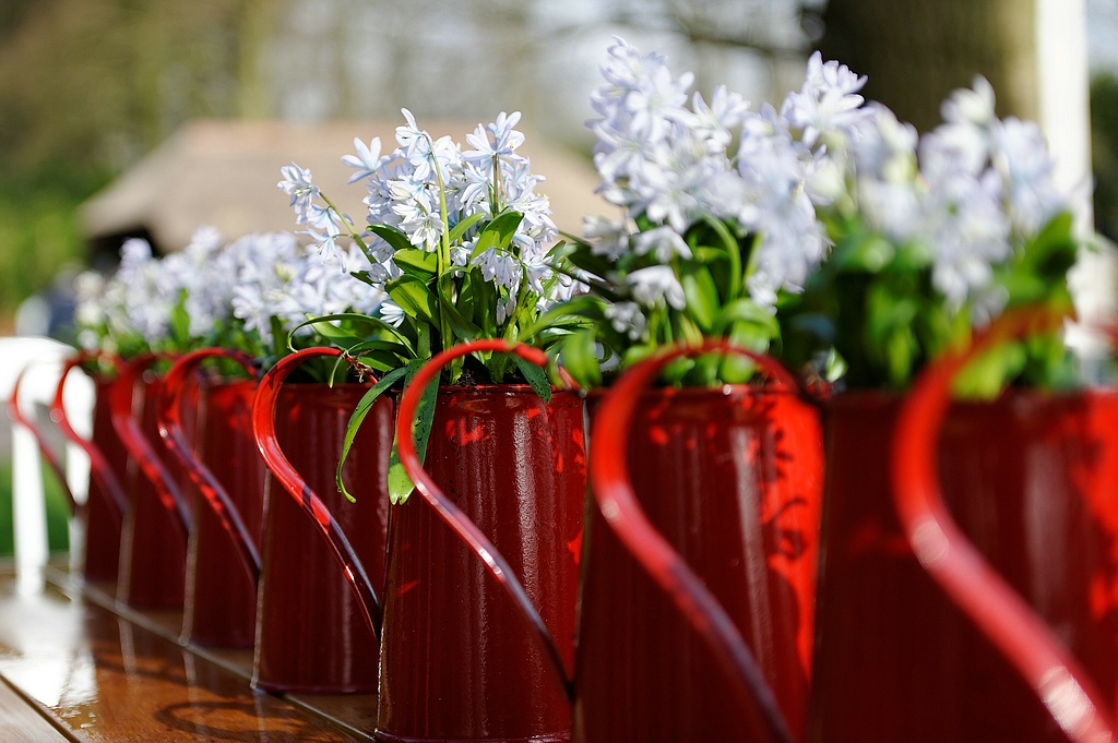 DOFFrühling 1