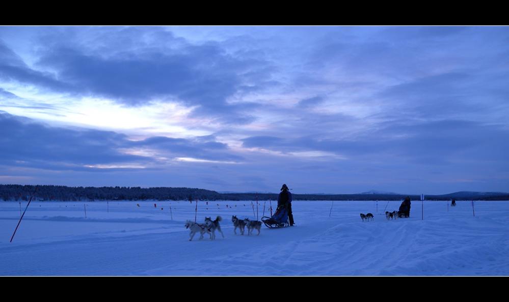 Dog Sled