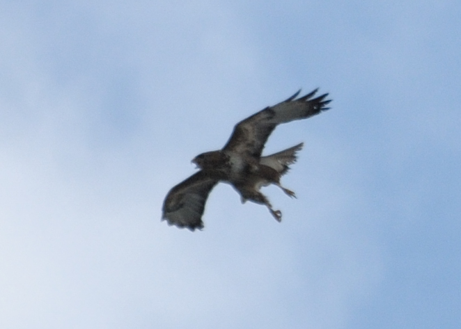Dohna 20090607 151617