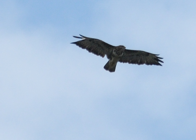 Dohna 20090607 151657