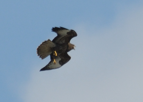 Dohna 20090607 151906
