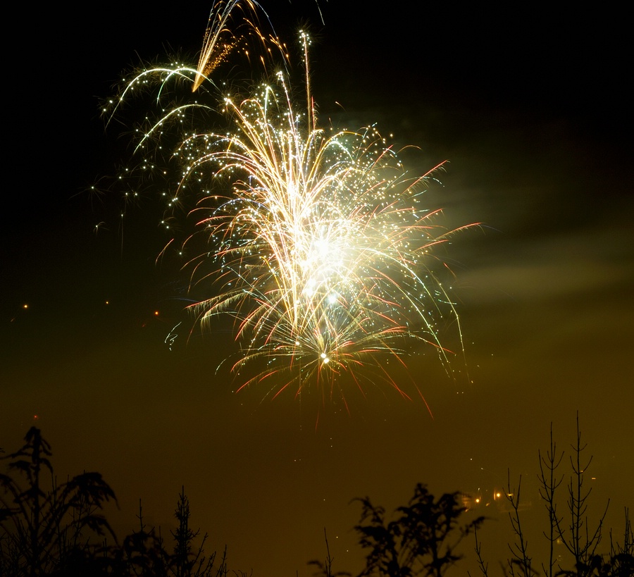 Dohna Silvester 09 1