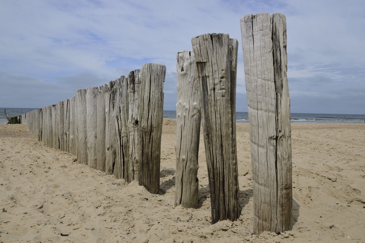 Domburg DSC0274 00001