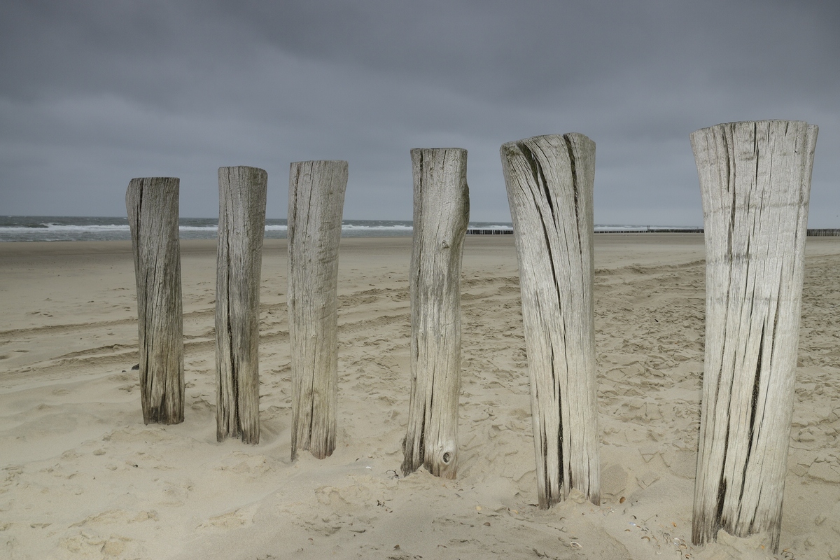 Domburg DSC0367 00144