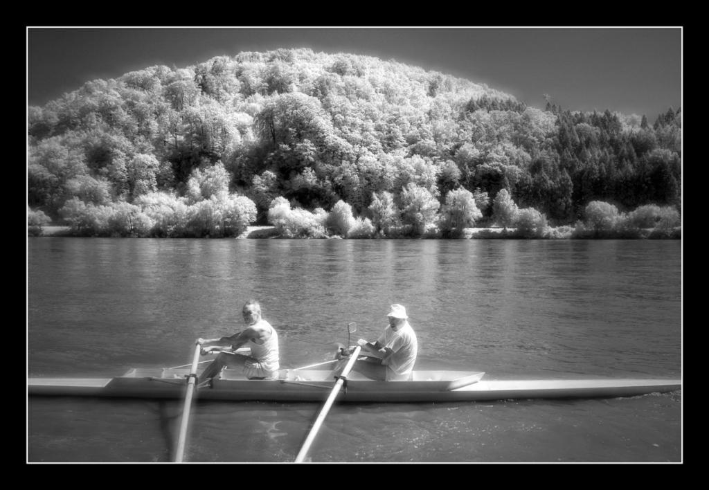 donauIR
