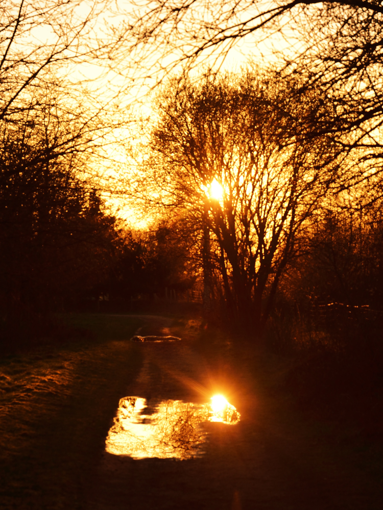 Doppelte Sonne