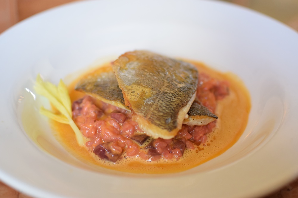 dorade risotto