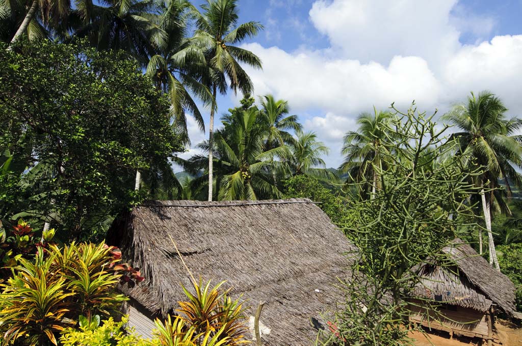 Dorf am Sepik