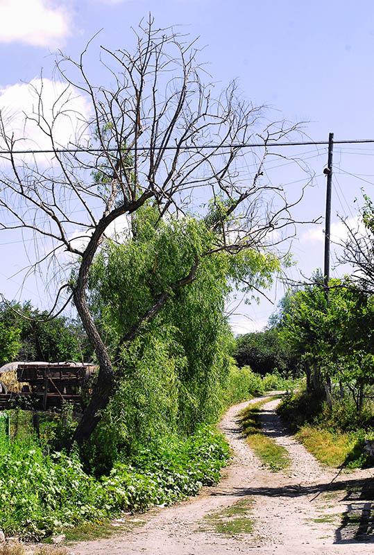 dorfstraße moldavien