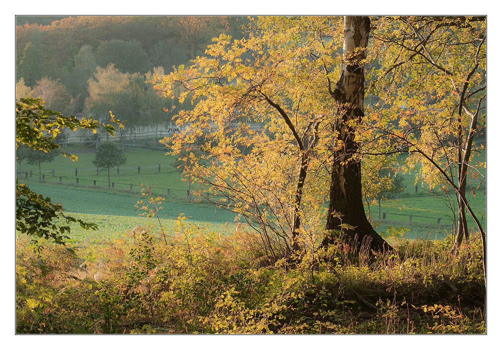 Dortmunder Herbst 3