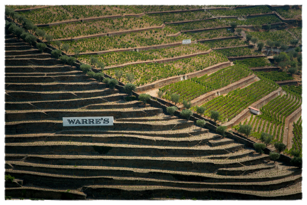 douro hills