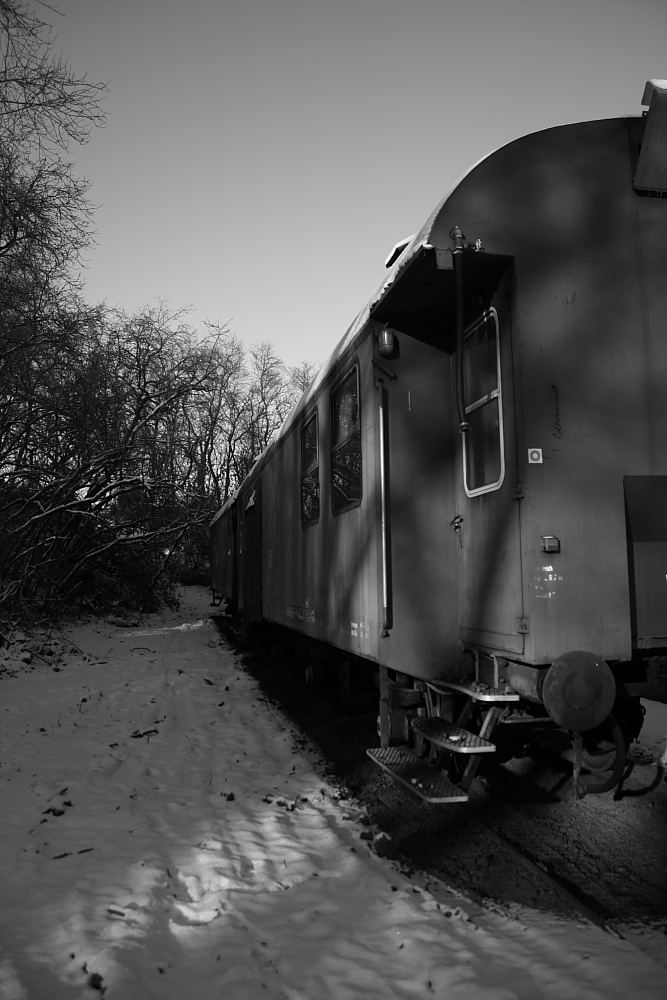 DPP 0449