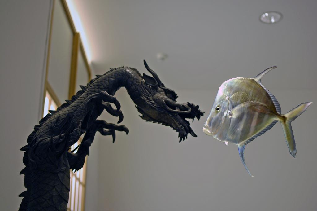 drache u fisch ko