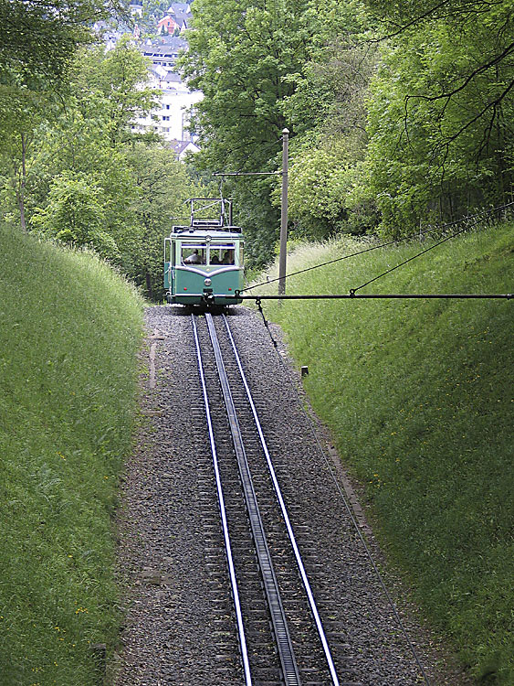 Drachenfels bonnescape