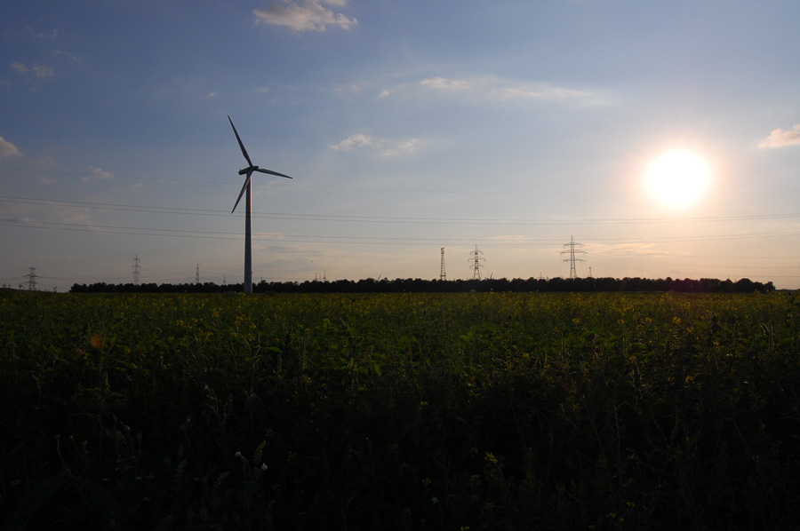 Draußen bei einem Feld um 5 uhr nachmittags