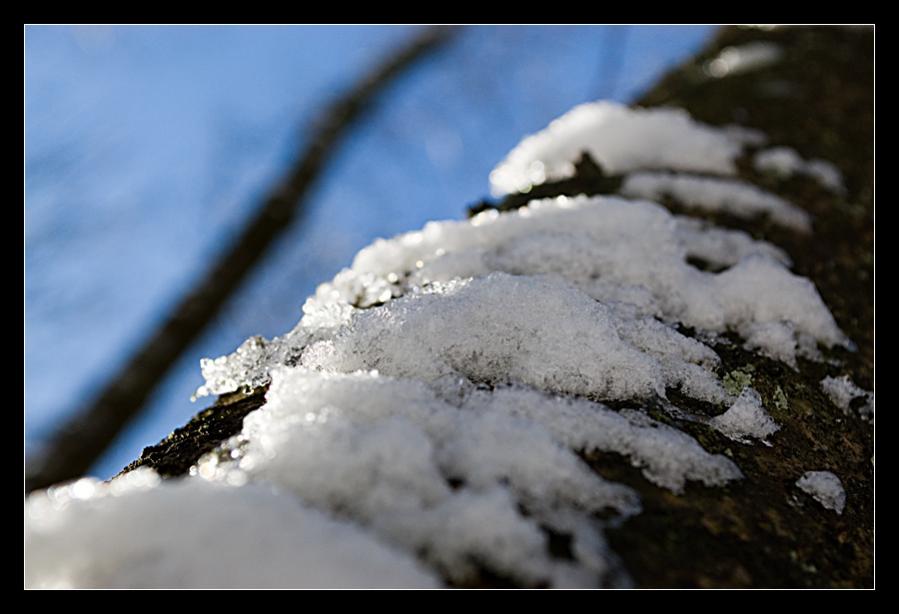 Draußen im Schnee 1892