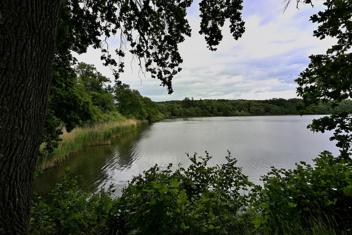 Dreifelderweiher01.JPG