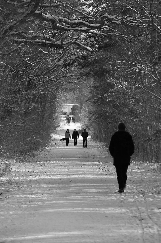 Dresdner Heide im Schnee