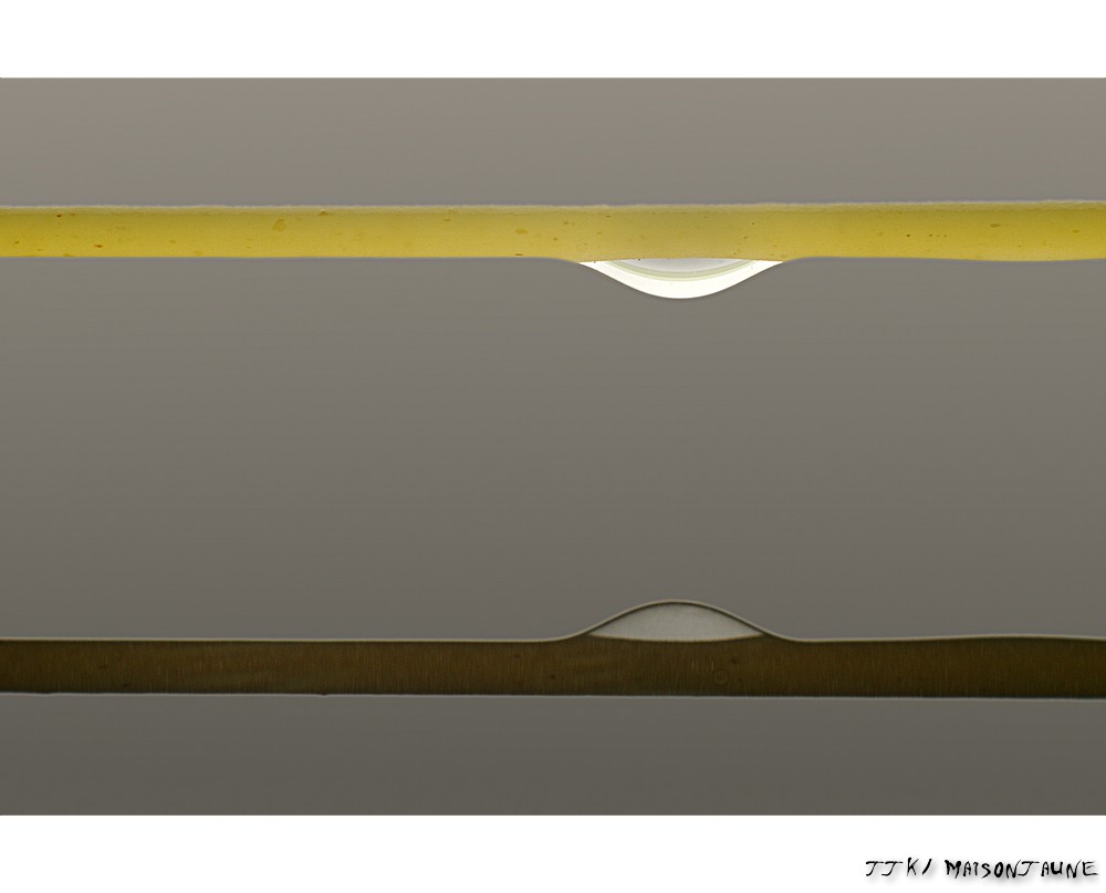 Drop of water on pasta reflects on liquid surface
