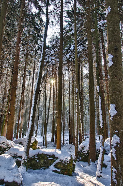 Druidenhain
