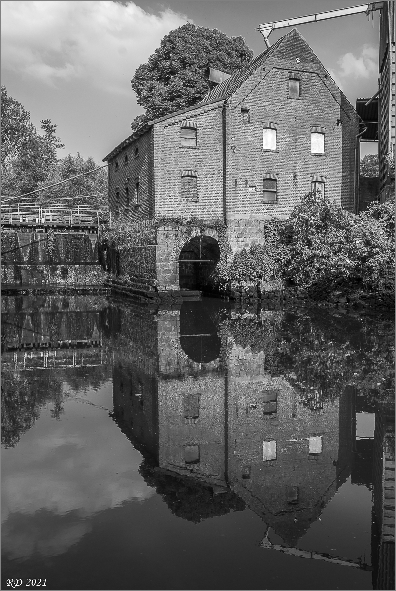 DS2_2545.jpg