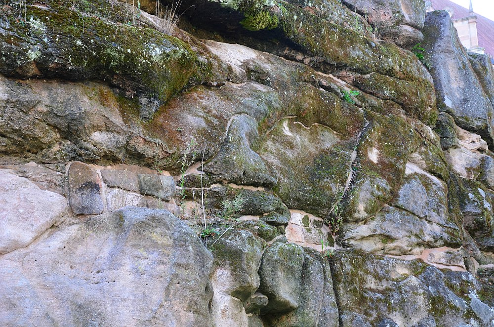 DS7_4570.jpg