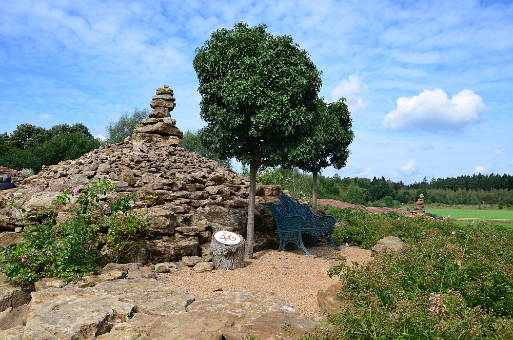 DS7_4591.jpg