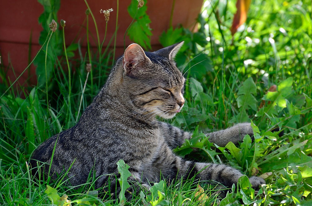 DS7_4607.jpg