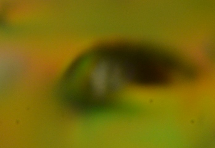 DS8 8228 1