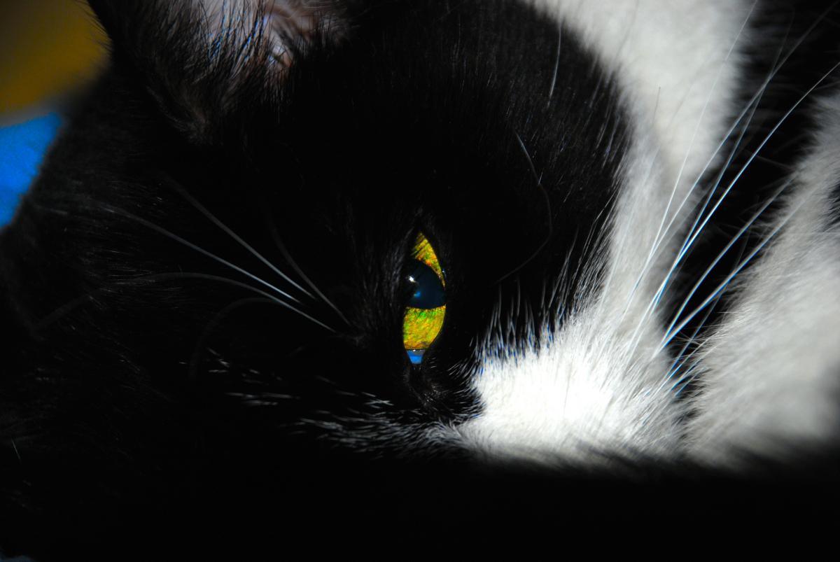 dsc 0002