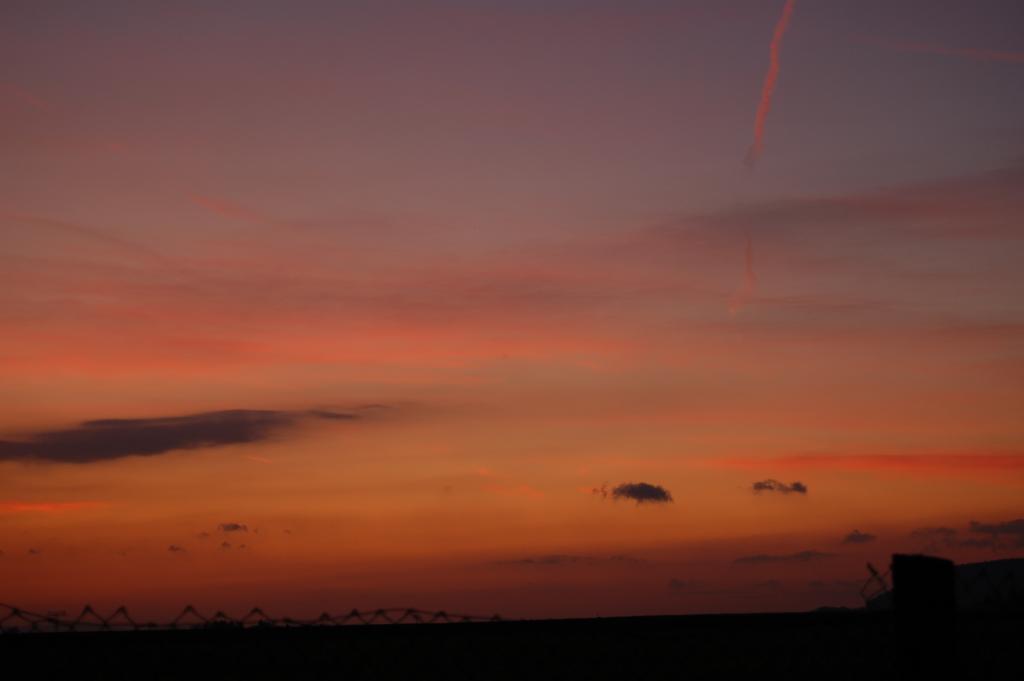 DSC 0004