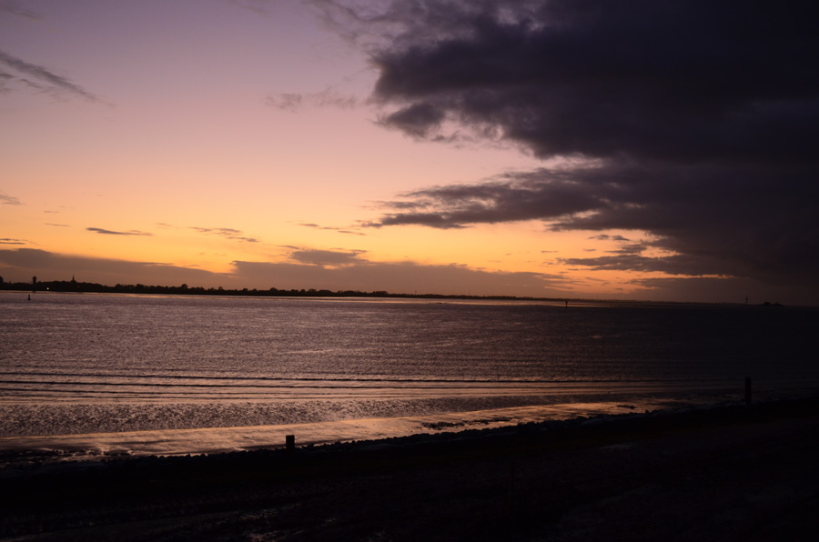 DSC 0004b