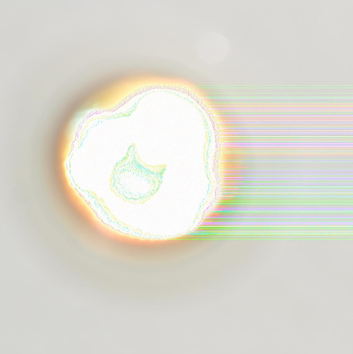 DSC 0005