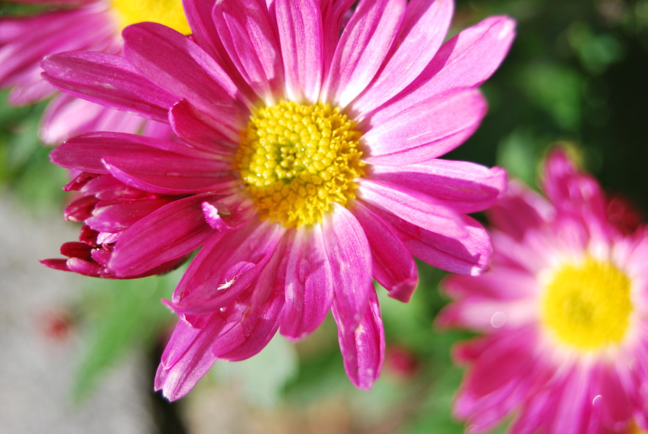 DSC 0005a (14)