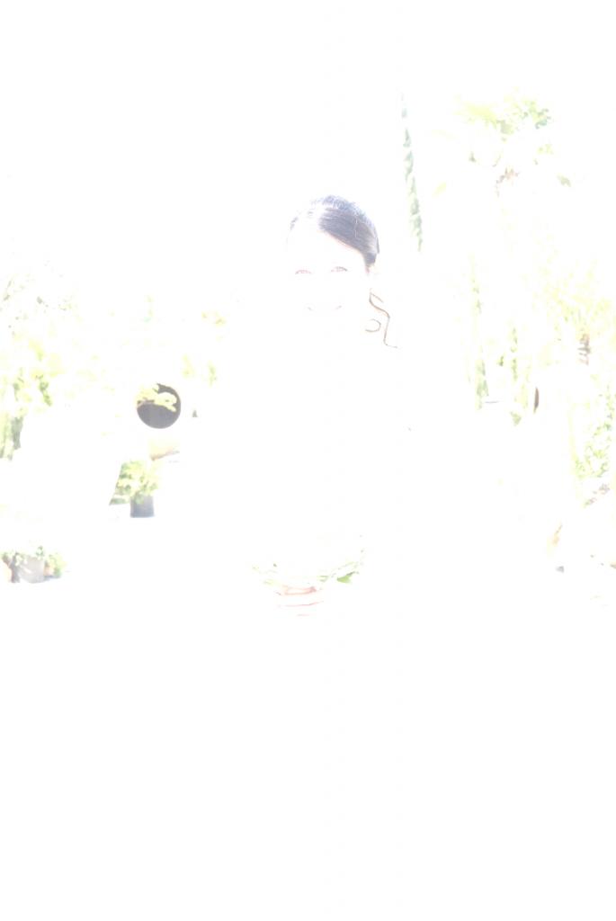DSC 0013