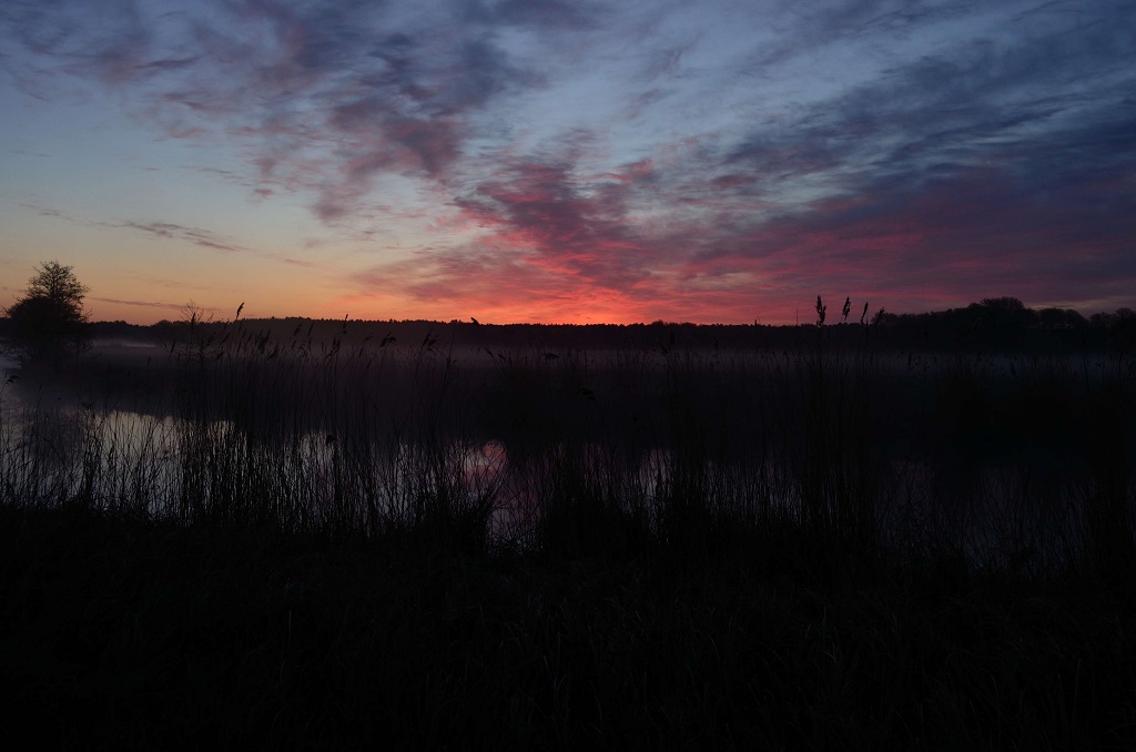 DSC 0023 105