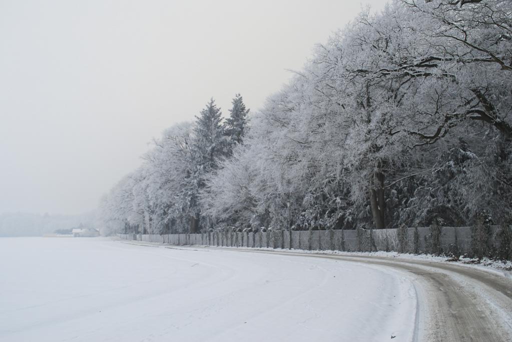 DSC 0030 20090108 0209