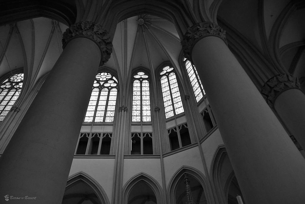 DSC 0032sw