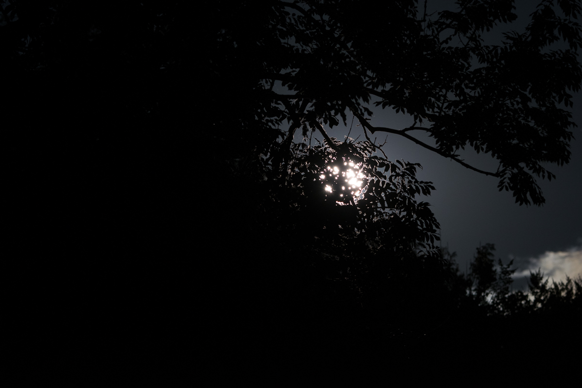 DSC 0040 1