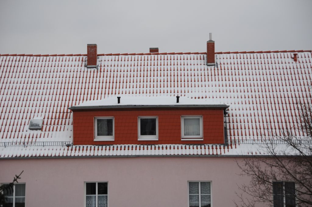 DSC 0042