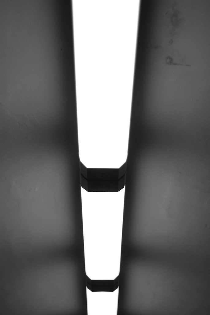 DSC 0044